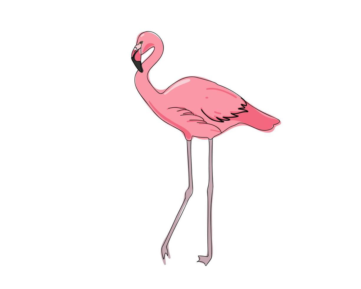 Pink flamingo isolated on white background. Doodle vector