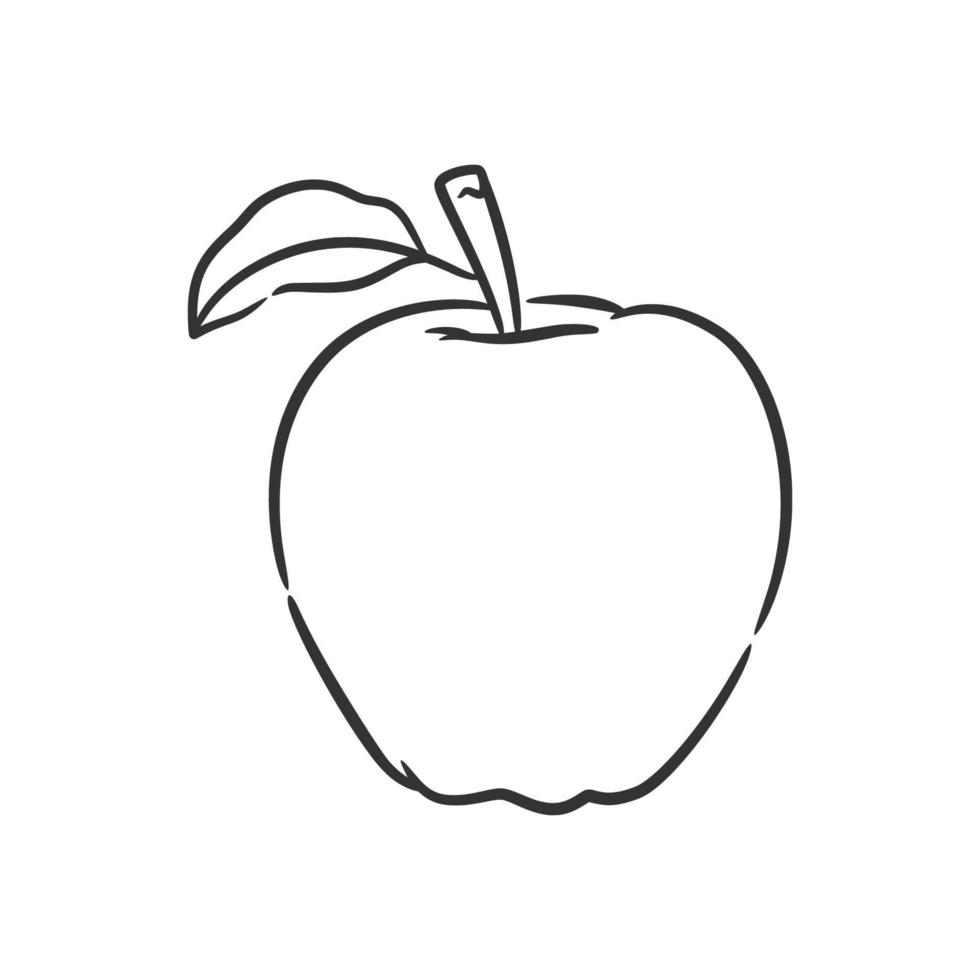 Apple line art vector illustration