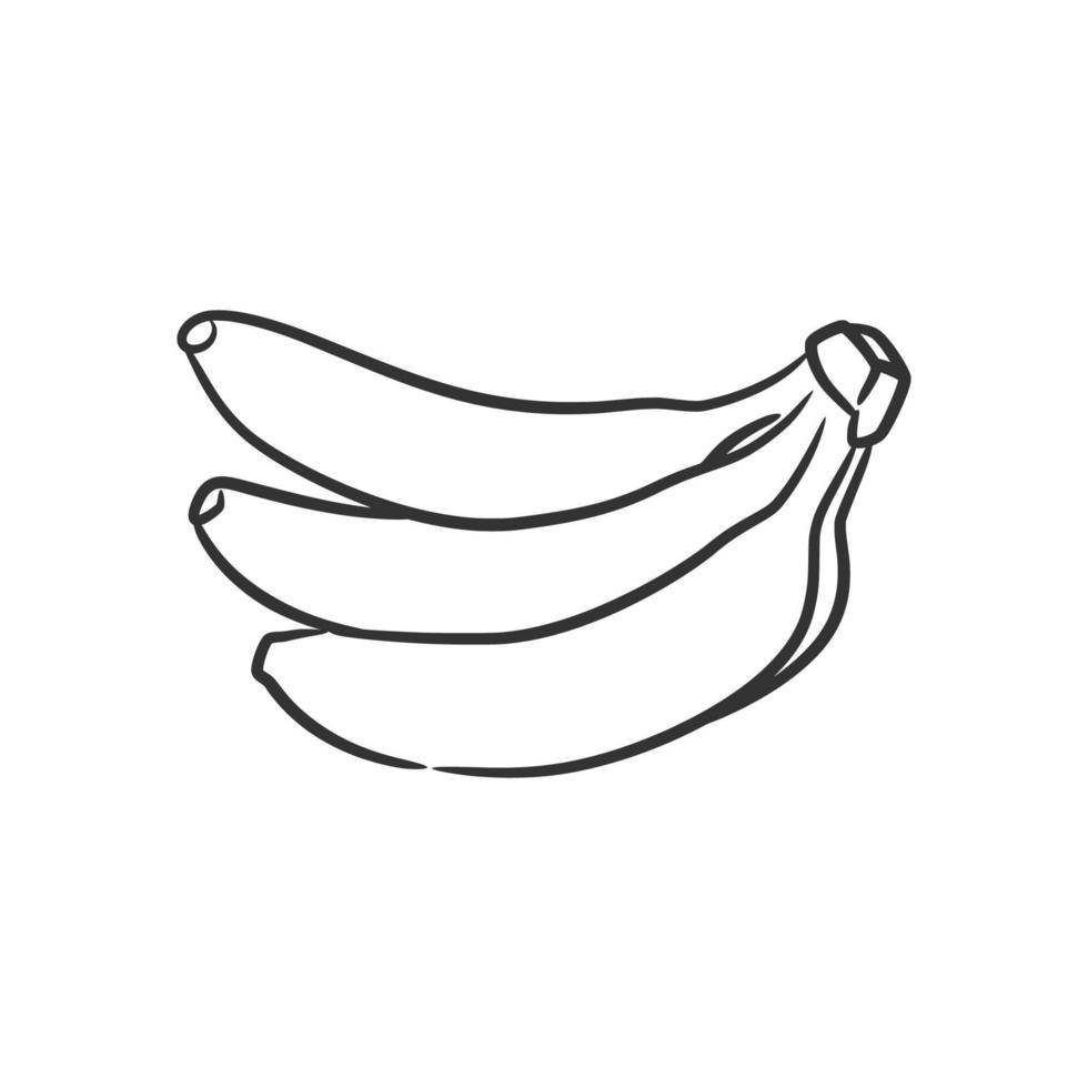 Banana line art vector illustration