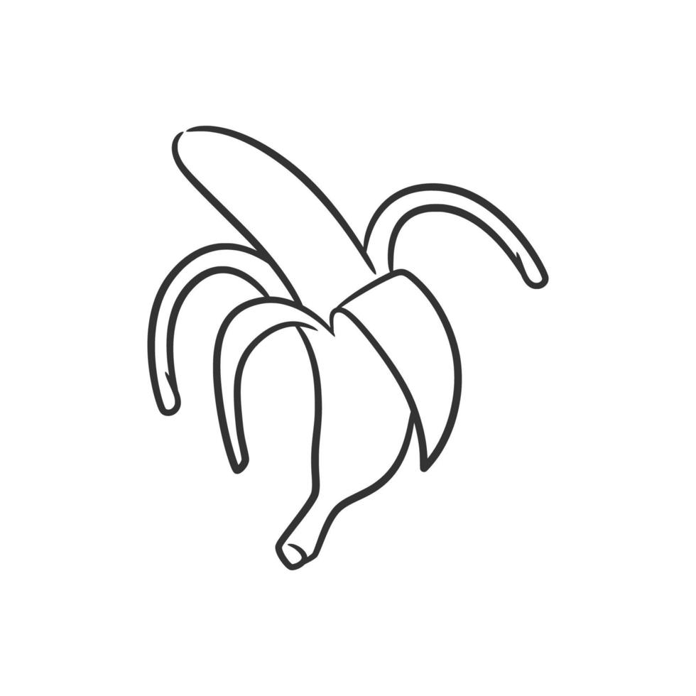 Banana line art vector illustration