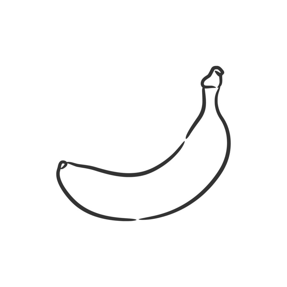 plátano línea Arte vector ilustración