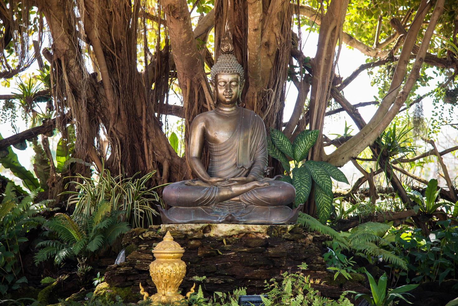 The Buddha statue seated under the big tree in Wat Rong Khun ot White Temple in Chiang Rai province of Thailand. photo