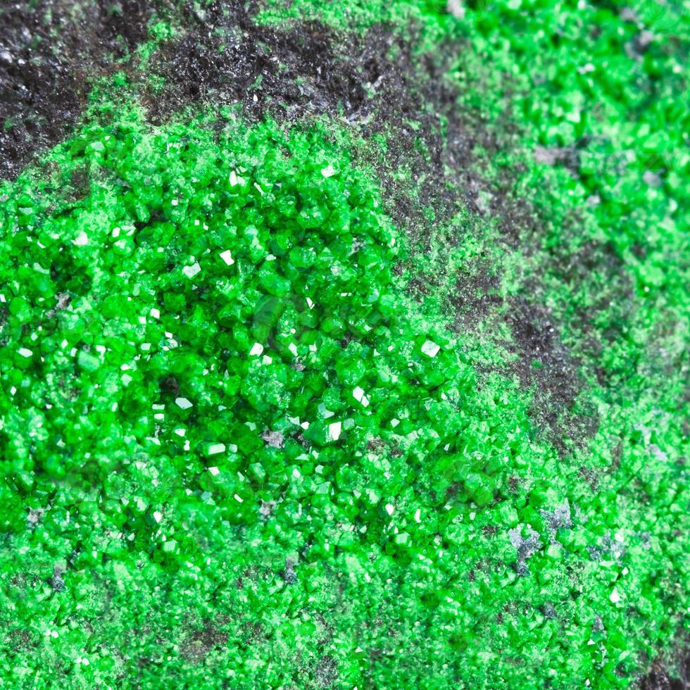 druse of green uvarovite crystals on rock close up photo