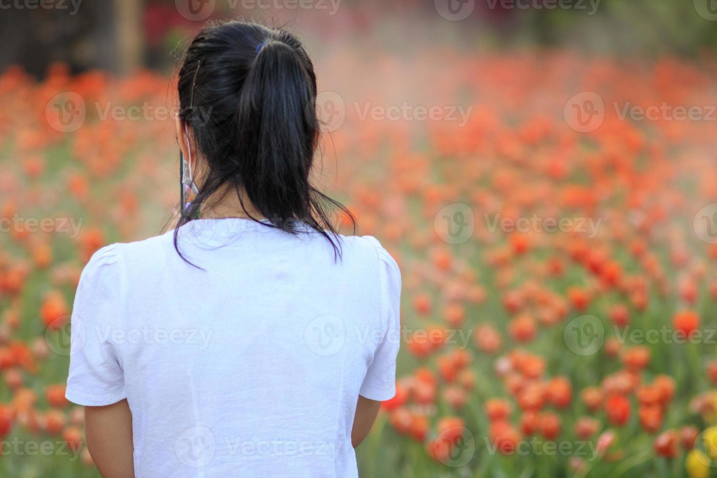 Asian women traveling and having fun in a flower field that has been planted for tourists to visit and take photos in the flower garden in winter in Chiang Mai where the flowers are in full bloom.