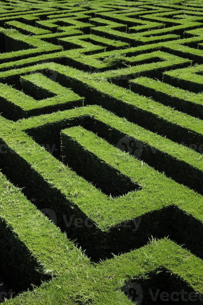 Maze in nature photo