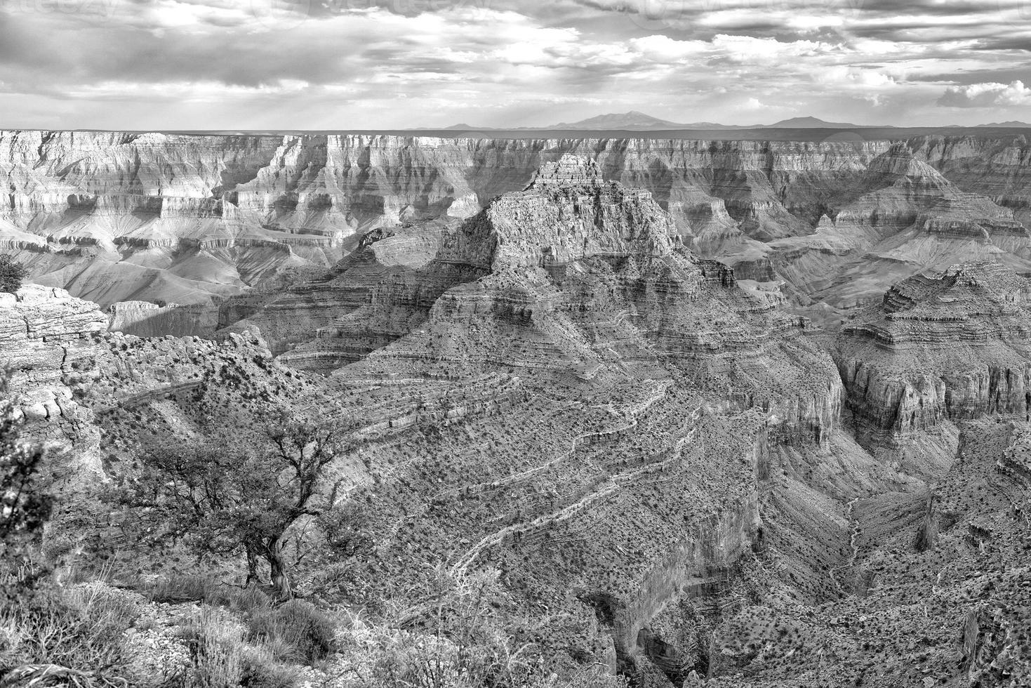 Wonderful Grand Canyon North Rim View at sunset photo