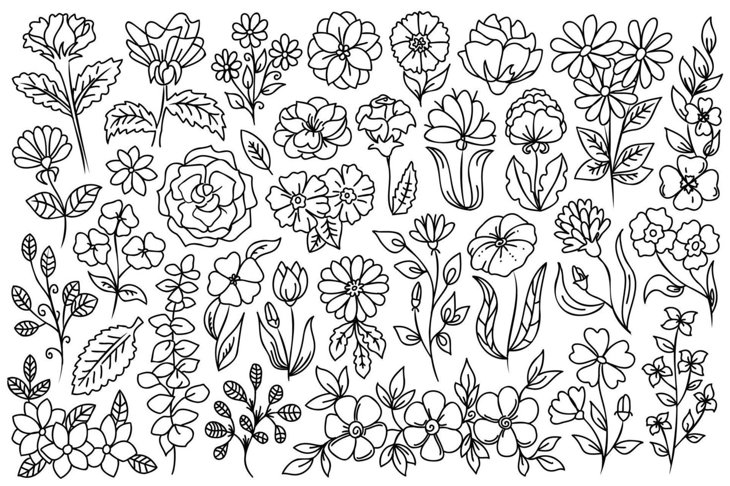 Line art flowers. Forest, meadow flowers, plants and herbs line art. Hand drawn stile linear flowers, vector floral line drawings for design.