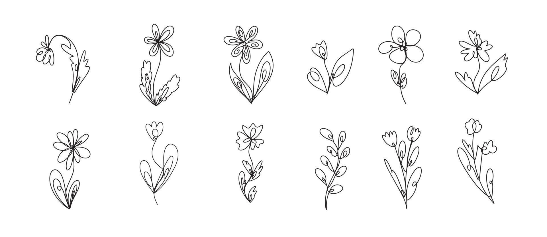 Continuous line drawing plants black sketch wild flowers isolated on white background flowers one line illustration minimalist print set vector