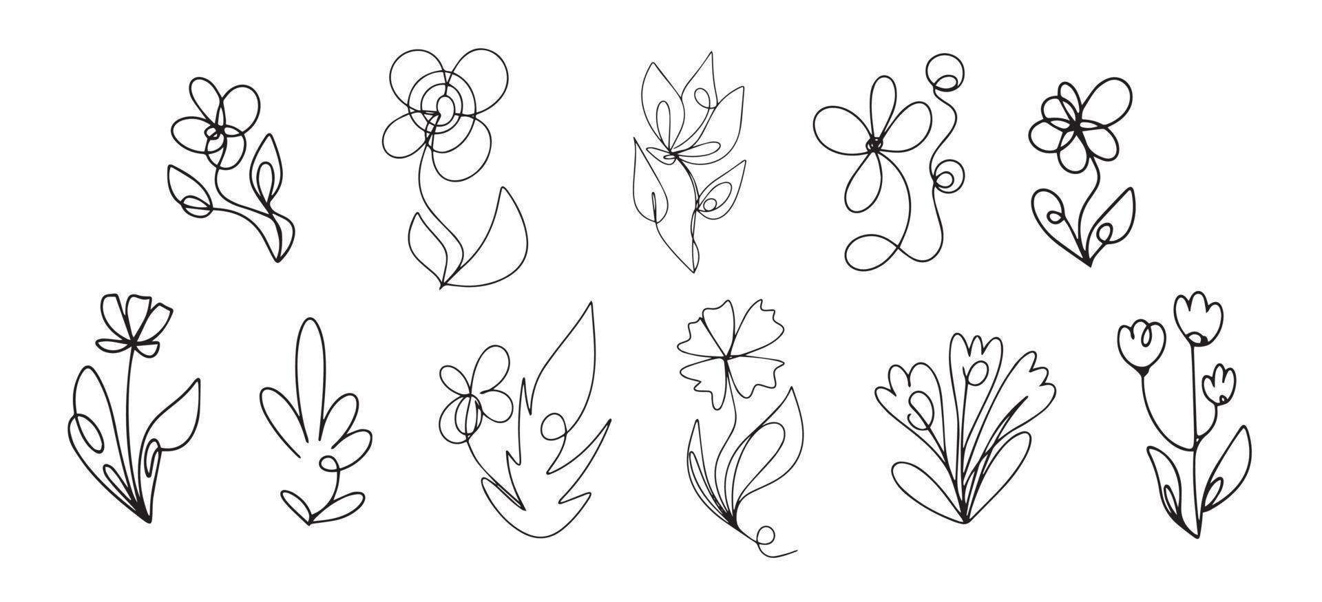 Botanist vector design minimalistic wild flowers leaves for logo or tattoo Minimal line art for cover print or wallpaper