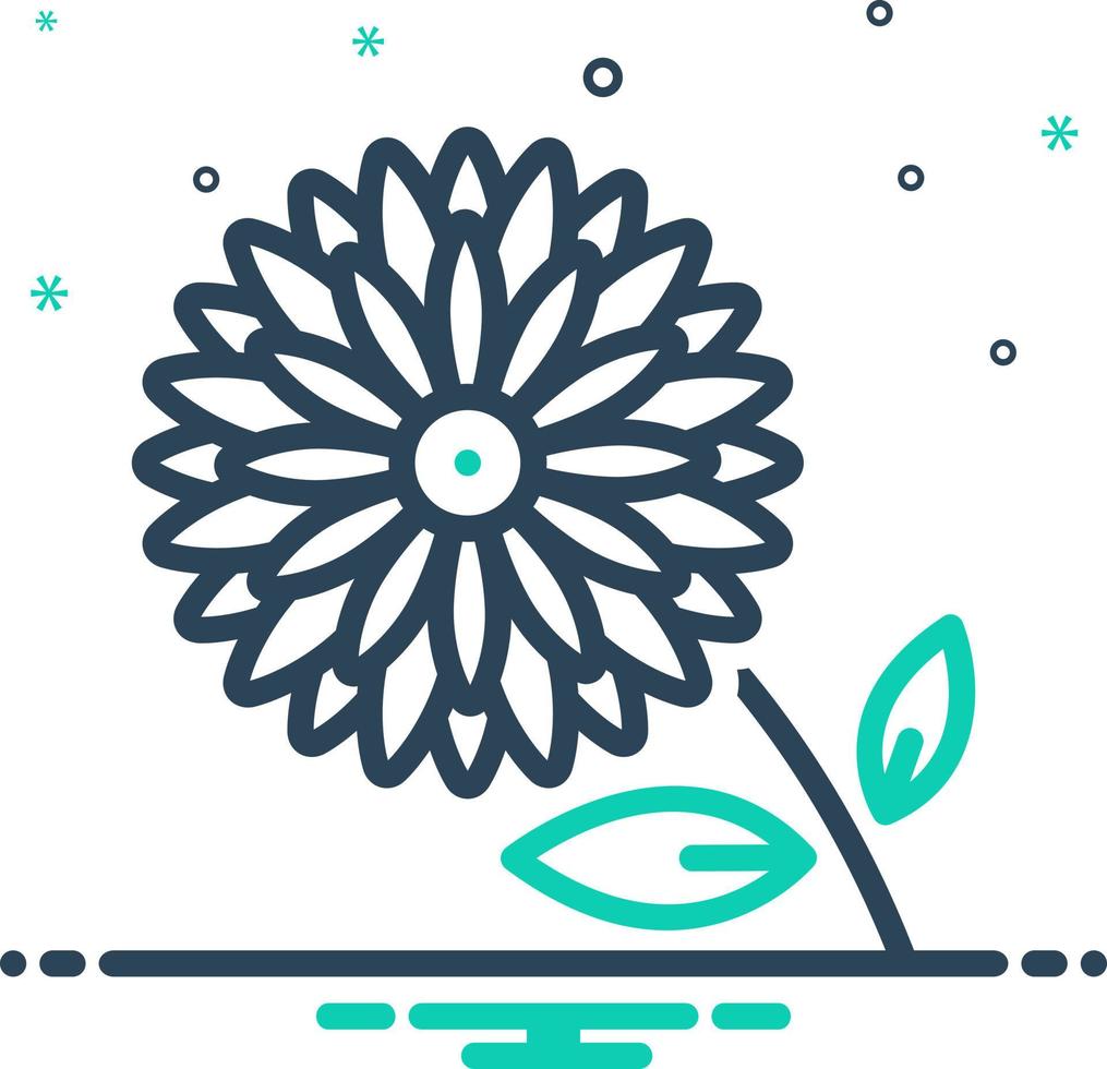 mix icon for chrysanthemum vector