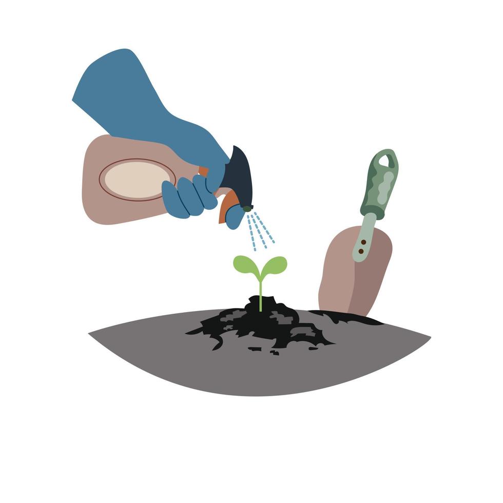 Spring composition Watering a seedling from a spray bottle for spraying plants. Agronomy infographic template design. Flat design vector illustration.