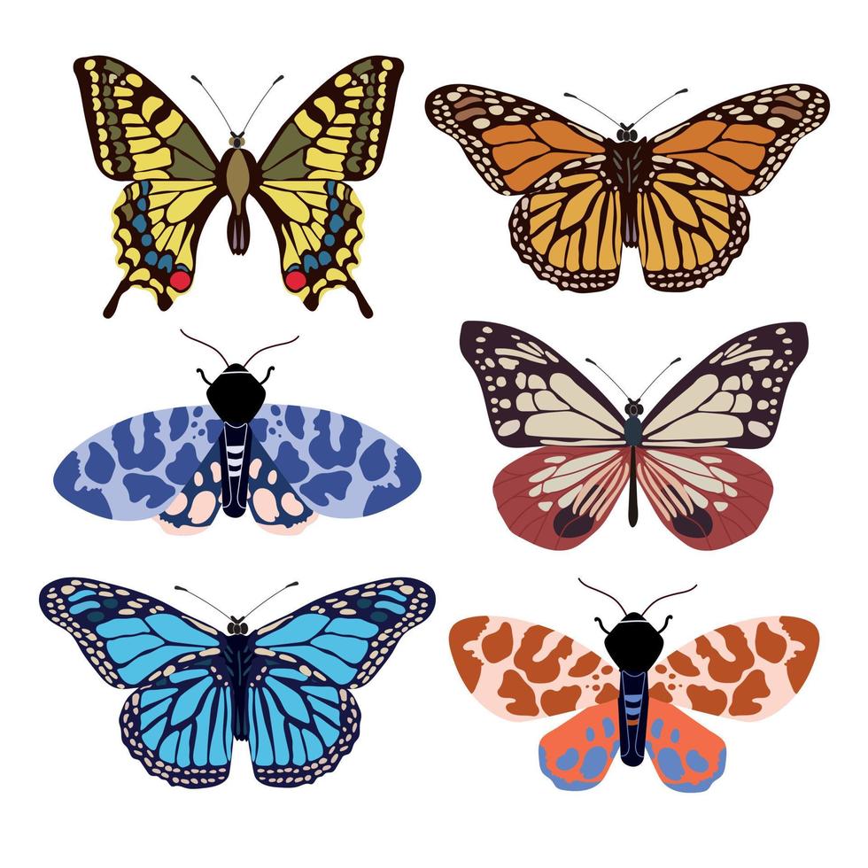 colección de elegante exótico mariposas y polillas aislado en blanco antecedentes. conjunto de tropical volador insectos con vistoso alas. conjunto de decorativo diseño elementos. plano vector ilustración.