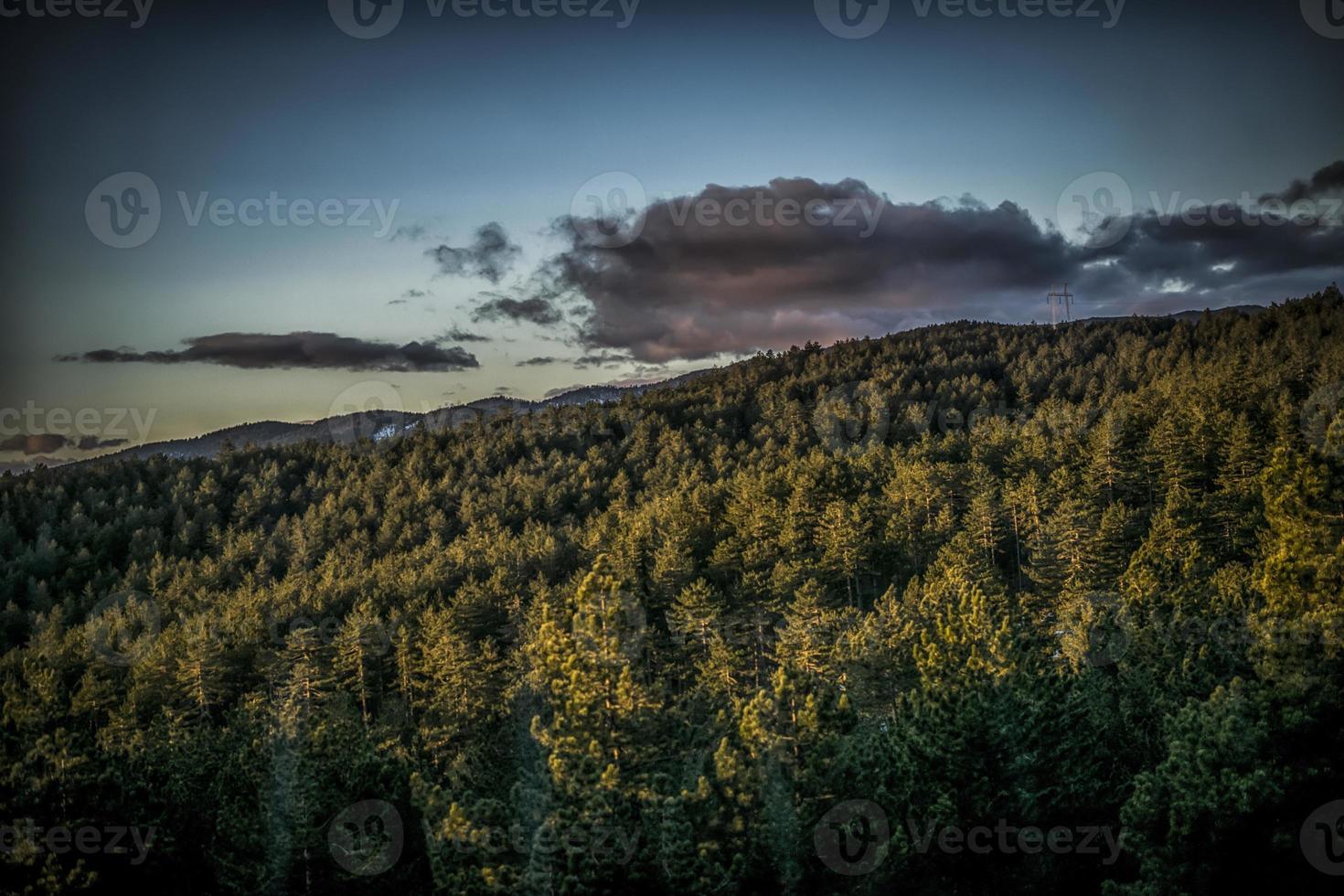 Early morning on Tara mountain with visible woods and beautiful sky photo