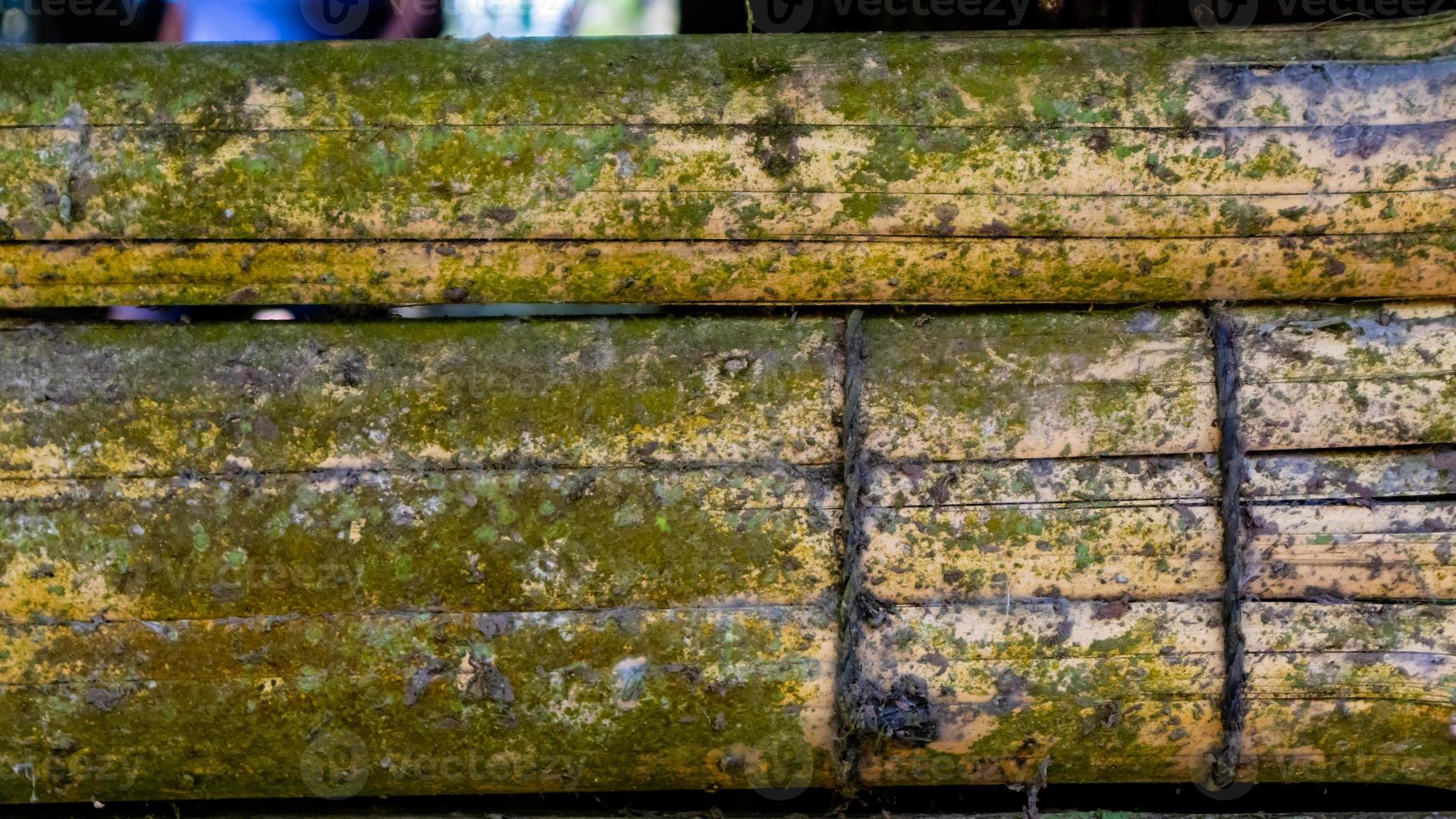 textura de pared de bambú cubierto de musgo como fondo foto