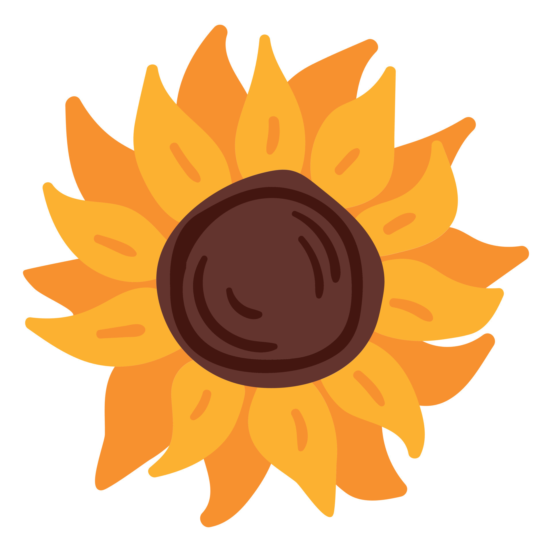 Sunflower Bloom Flat 20310303 Vector Art at Vecteezy