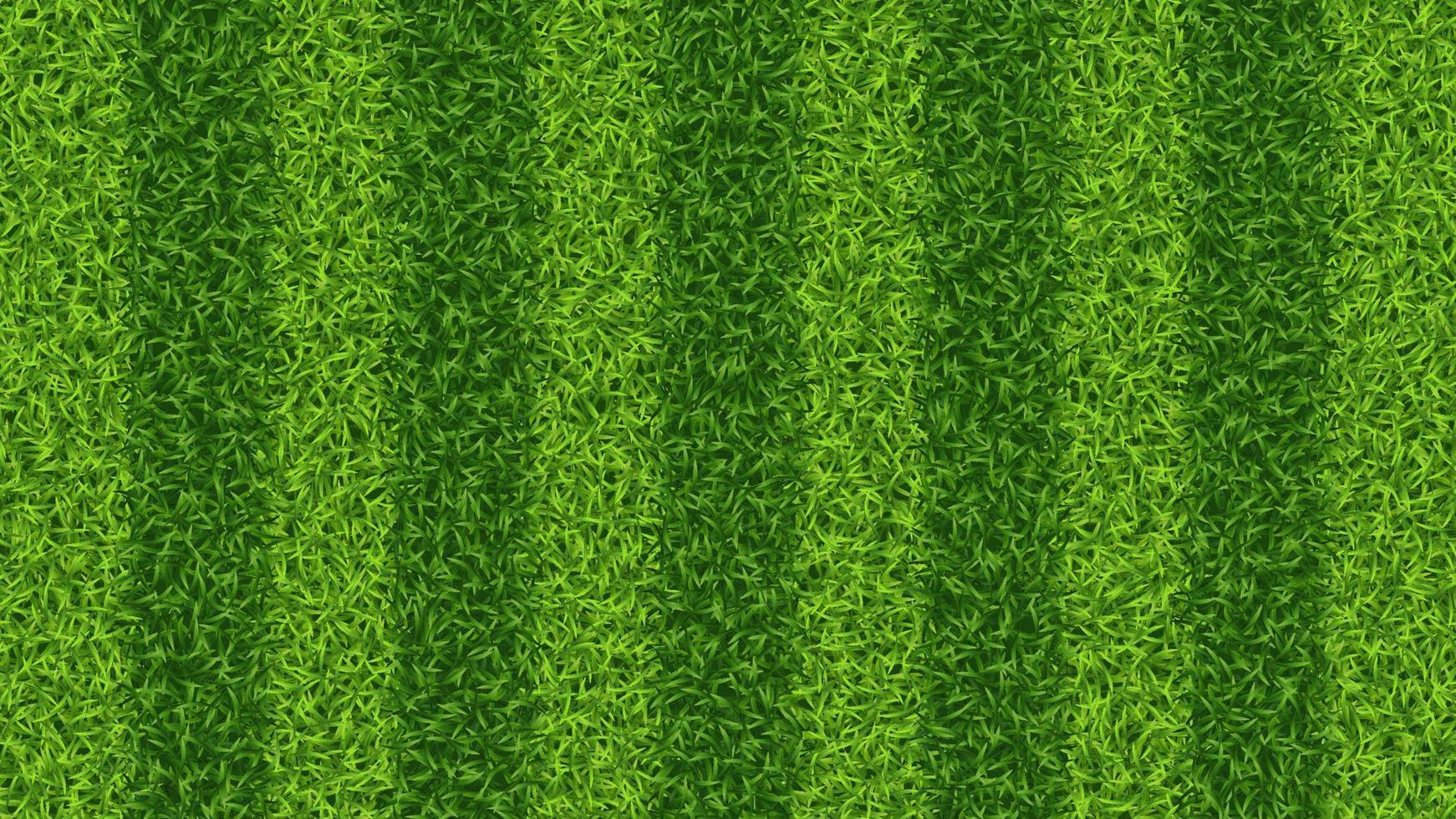 Striped soccer football grass field vector texture. Green grass pattern for sport background