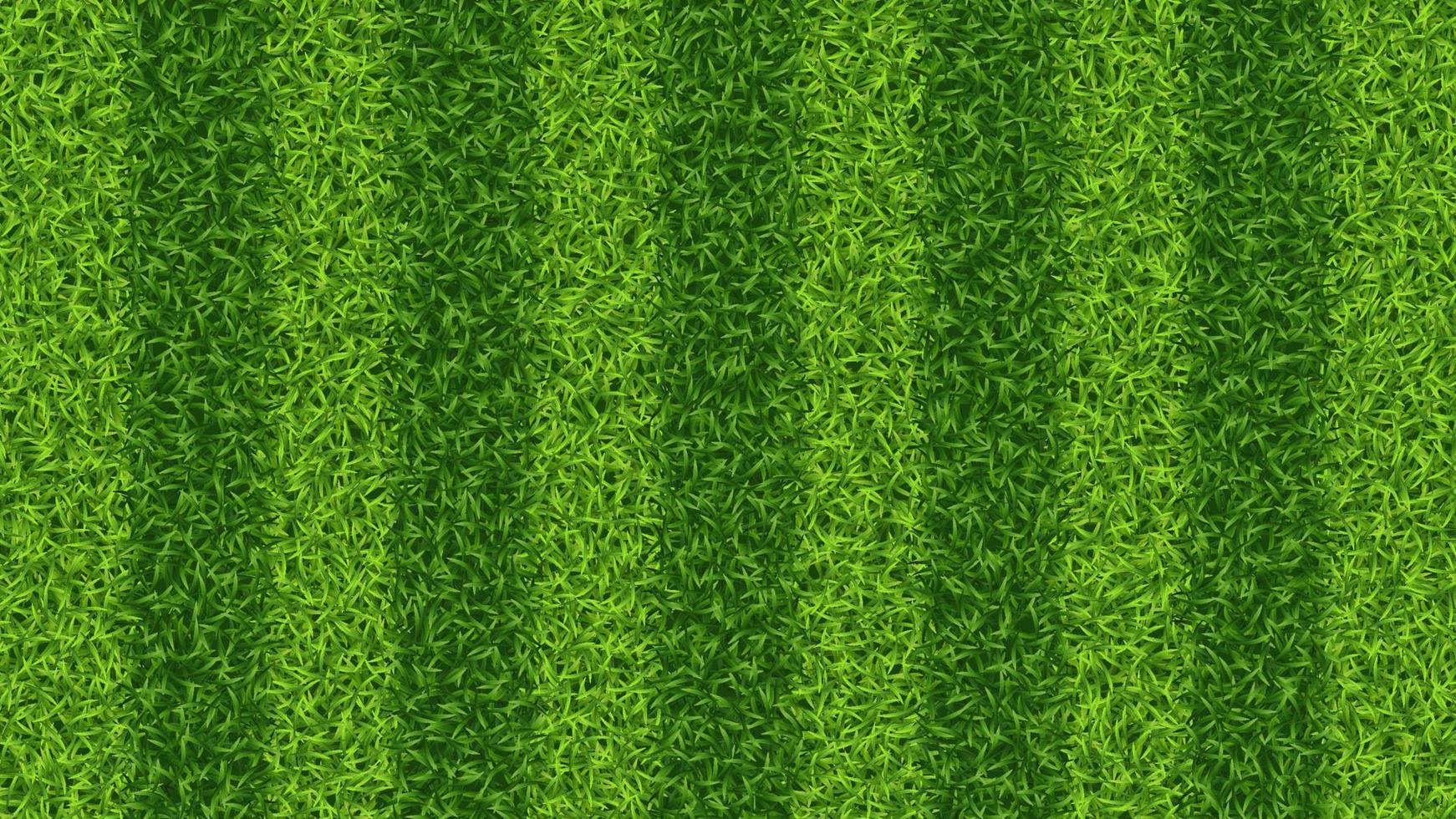 Striped soccer football grass field vector texture. Green grass pattern for sport background