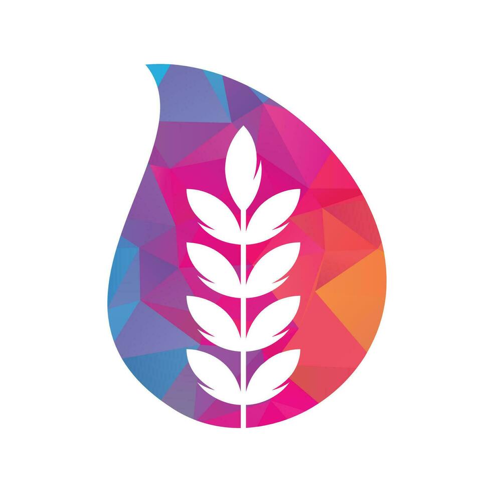 wheat grain drop shape vector logo design.