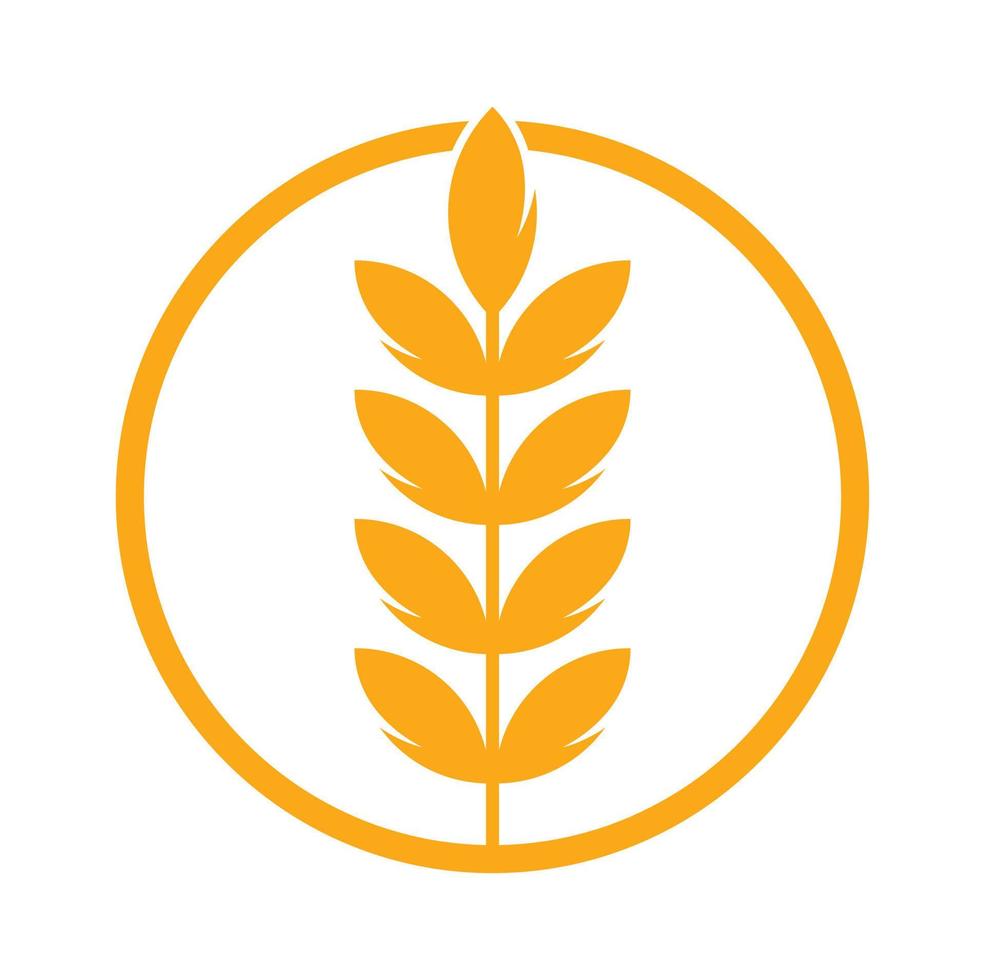 wheat grain icon vector logo design.