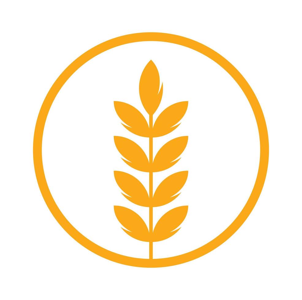 wheat grain icon vector logo design.