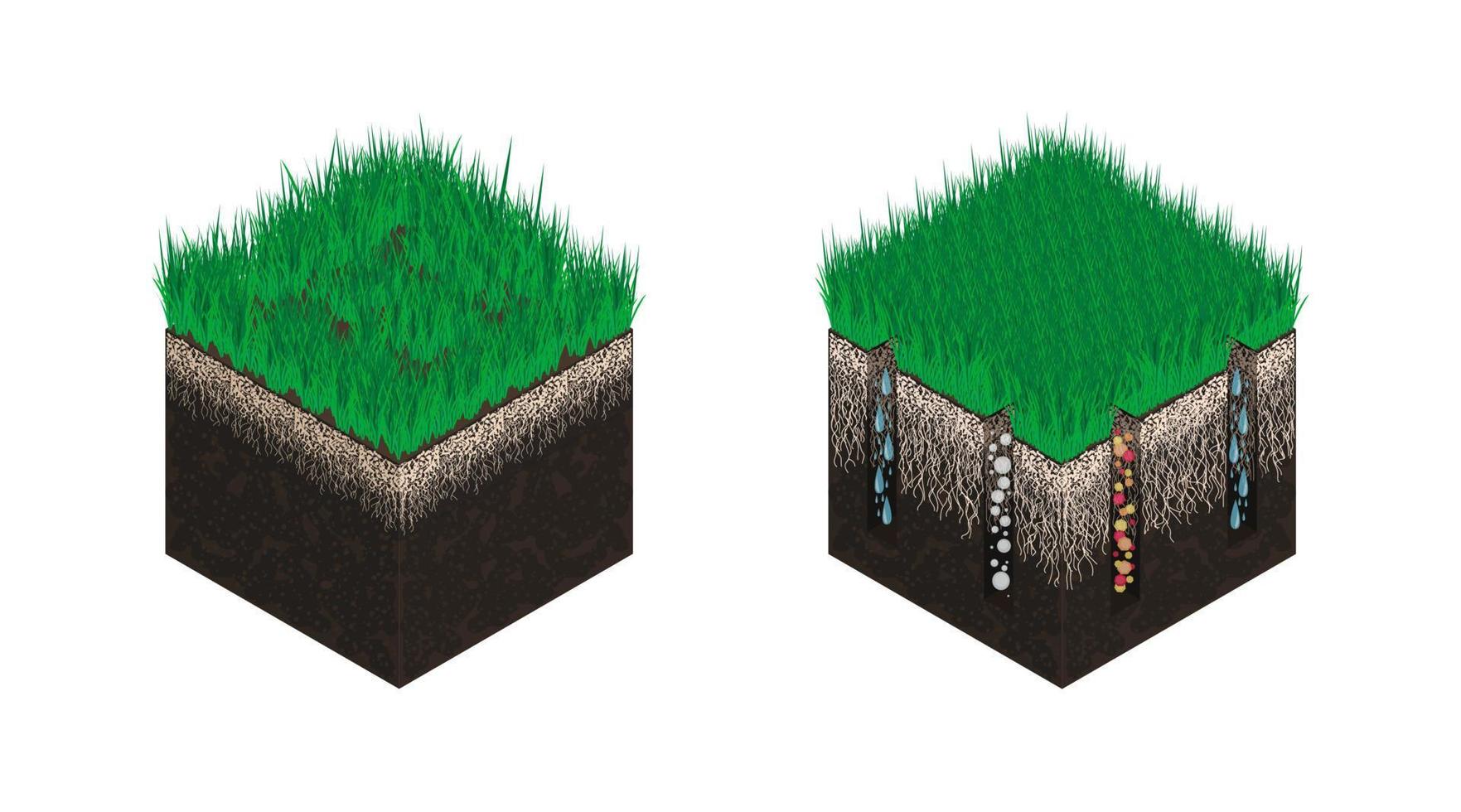 Lawn care, soil isometry, stages before and after aeration. Effect on the intake of substances - water, oxygen and nutrients for grass nutrition. Vector illustration isolated on a white background.