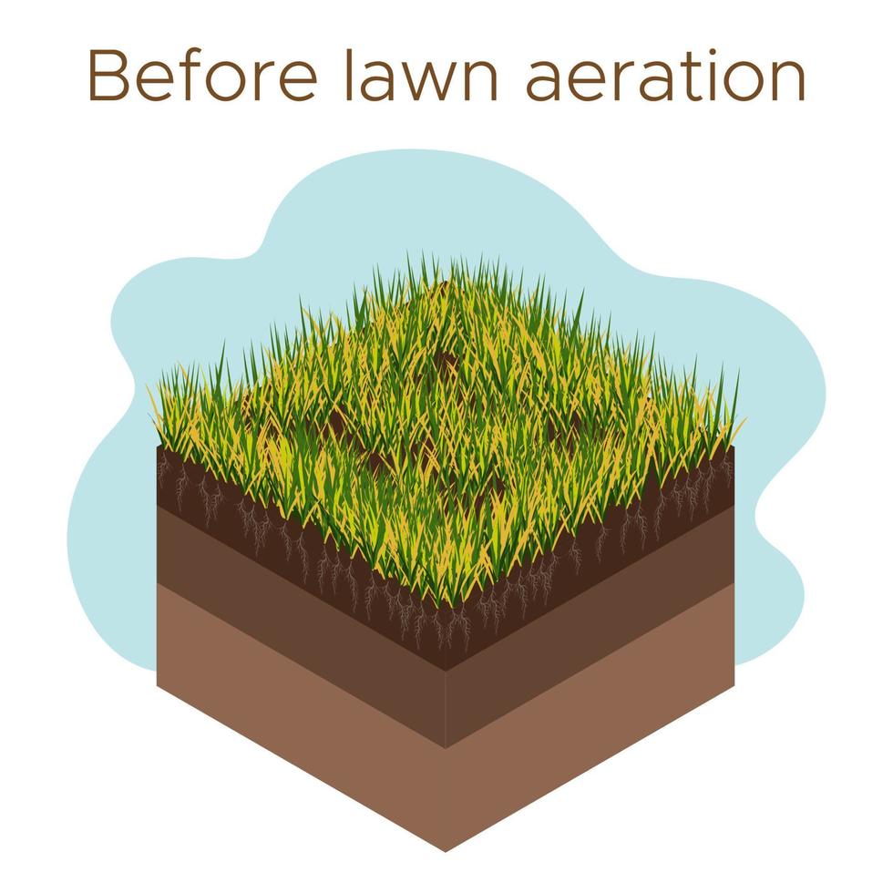 Lawn care - aeration and scarification. Labels by stage-before. Intake of substances-water, oxygen, and nutrients to feed the grass and soil. Vector isometric illustration isolated