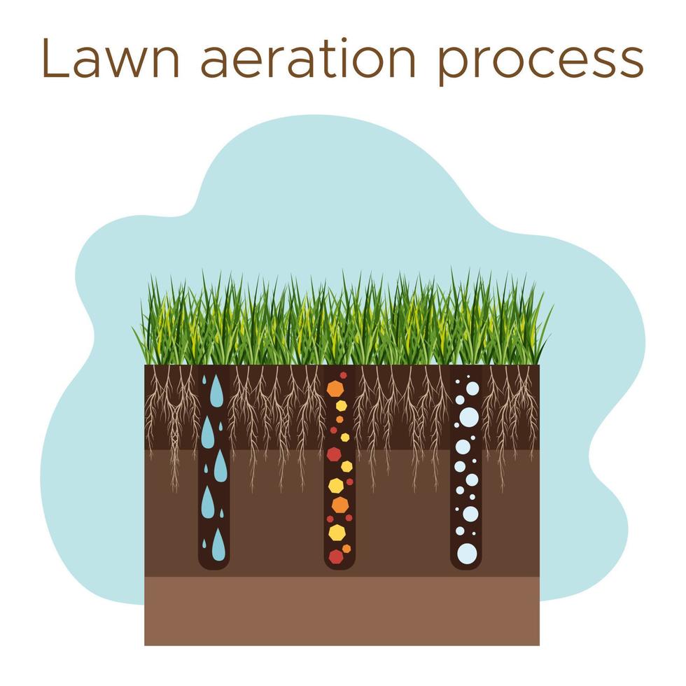 Lawn care - aeration and scarification. Labels by stage-during. Intake of substances-water, oxygen, and nutrients to feed the grass and soil. Vector flat illustration isolated