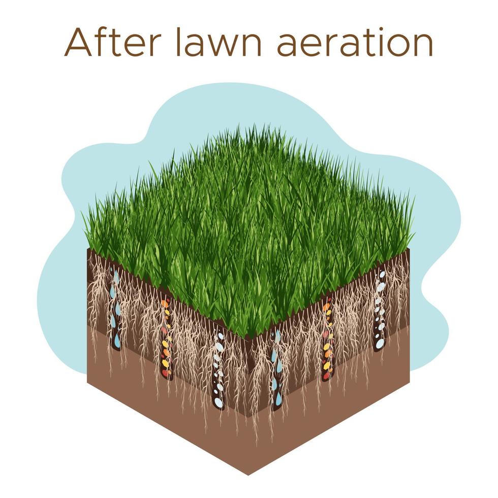 Lawn care - aeration and scarification. Labels by stage- after. Intake of substances-water, oxygen, and nutrients to feed the grass and soil. Vector isometric illustration isolated