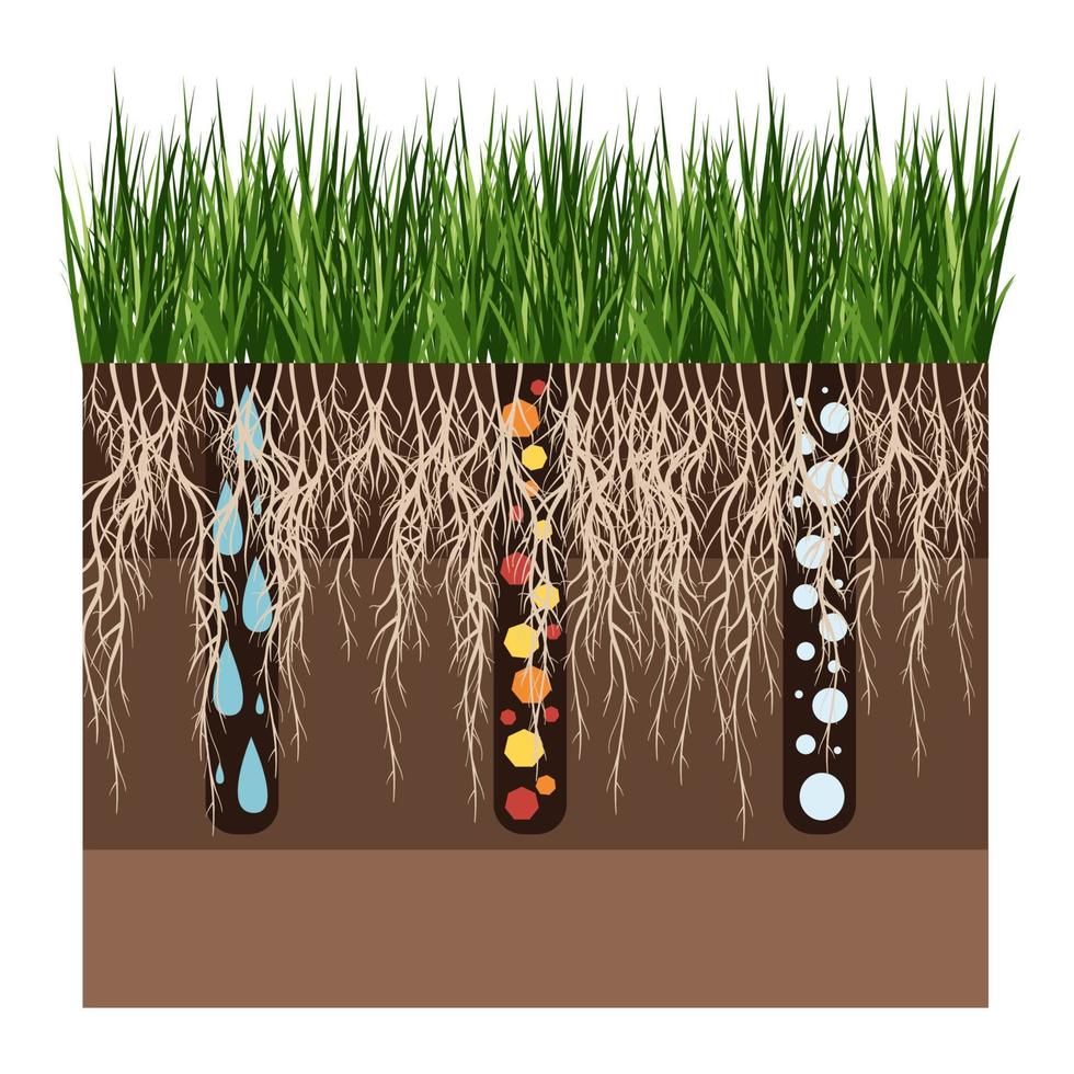 Lawn care - aeration and scarification. Labels by stage-after. Intake of substances-water, oxygen, and nutrients to feed the grass and soil. Vector flat illustration isolated