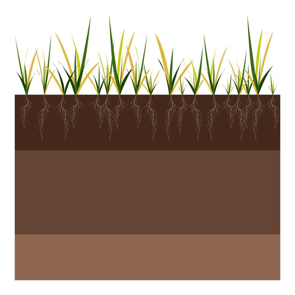 Lawn care - aeration and scarification. Labels by stage-before. Intake of substances-water, oxygen, and nutrients to feed the grass and soil. Vector flat illustration isolated