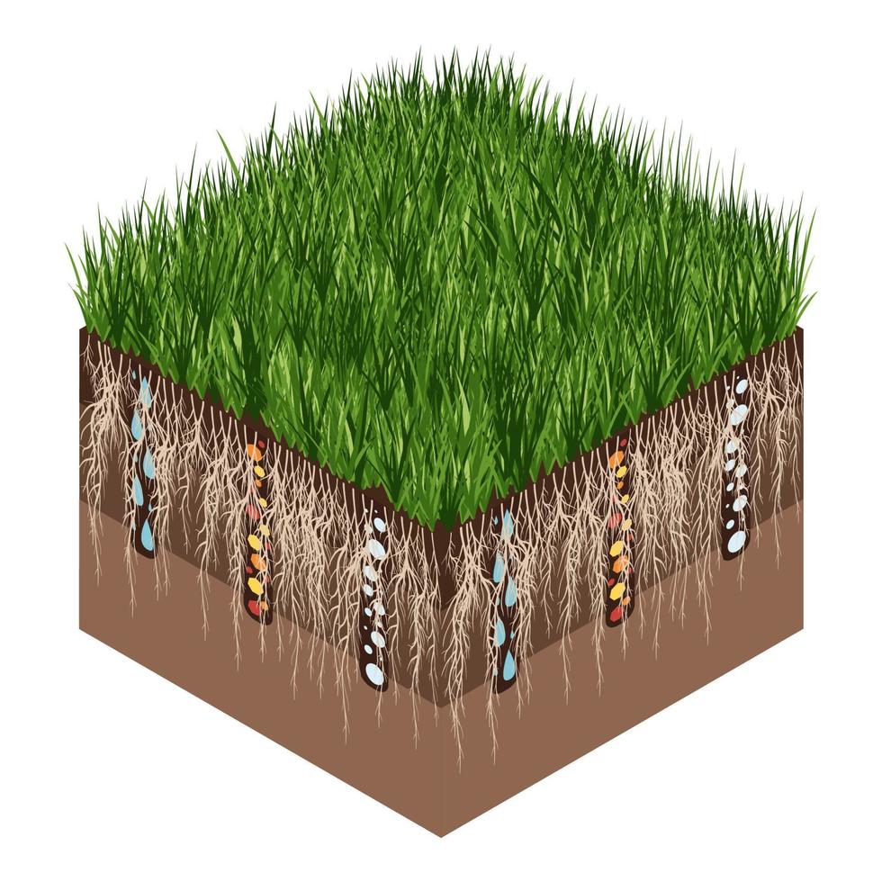 Lawn care - aeration and scarification. Labels by stage- after. Intake of substances-water, oxygen, and nutrients to feed the grass and soil. Vector isometric illustration isolated