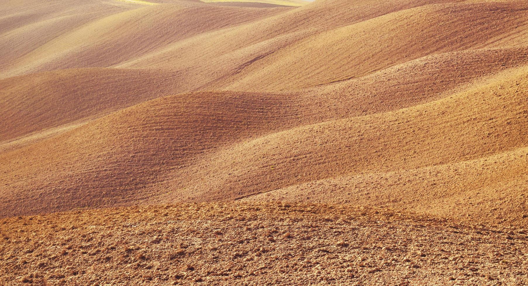 The Tuscanian hills photo