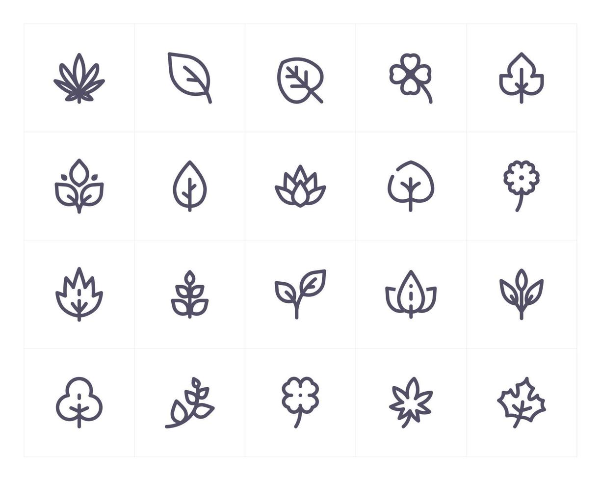 leaf and natural line icon set vector