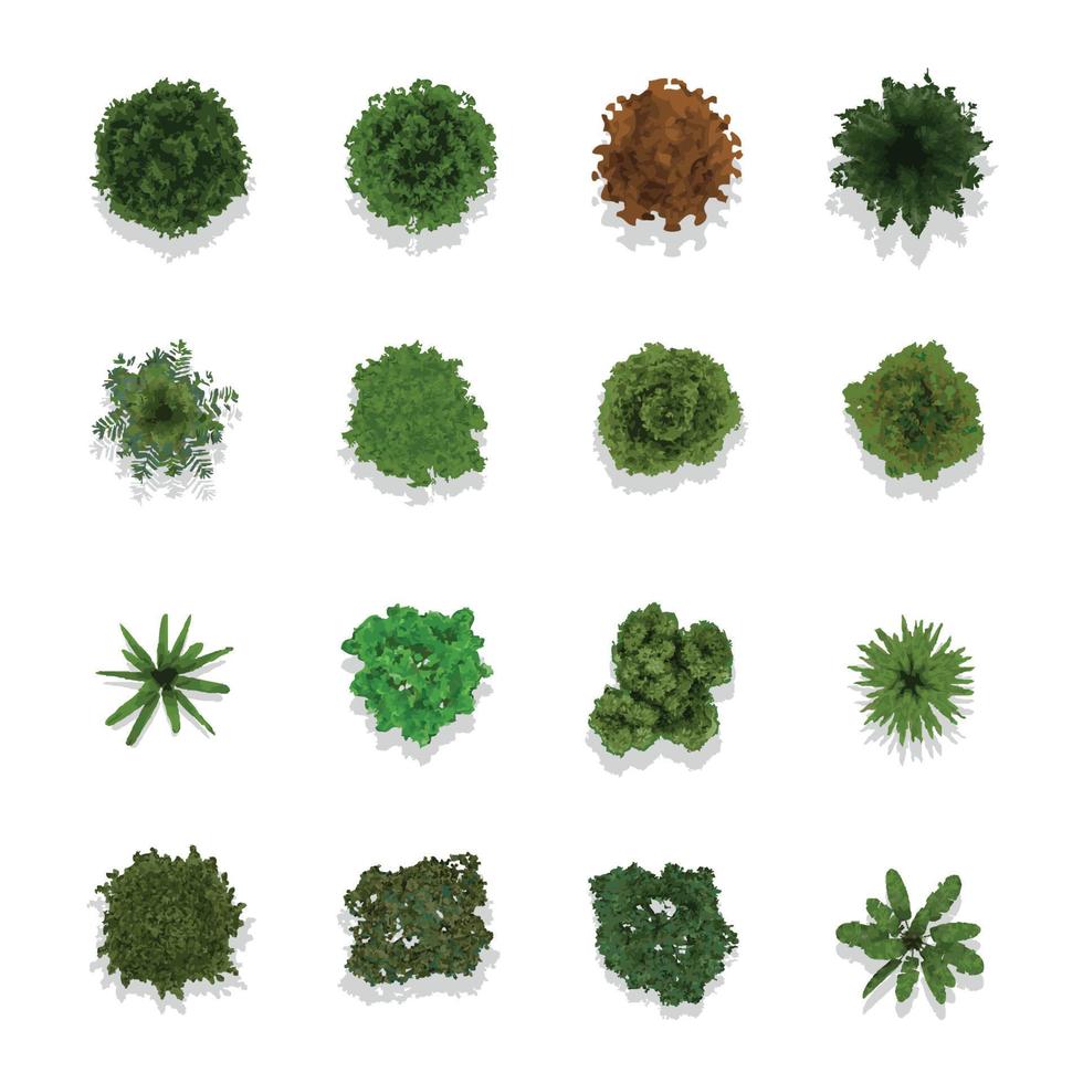 Trees top view for landscape design vector