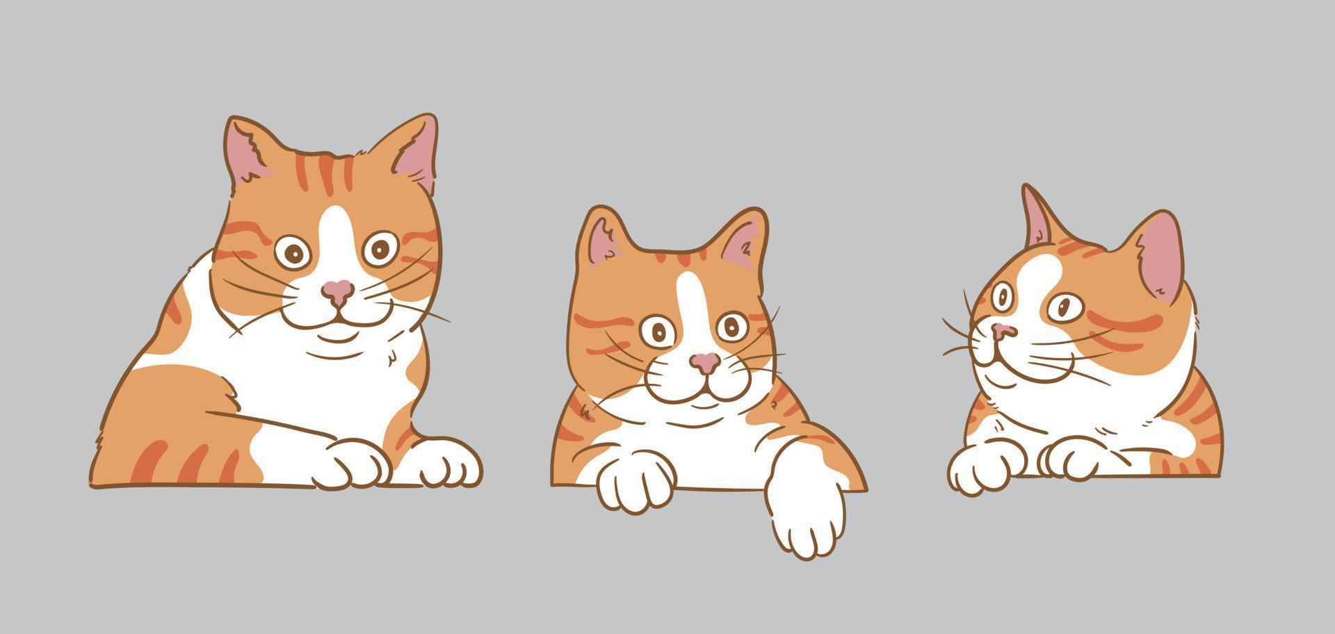 cartoon curious peeking Orange cats set vector
