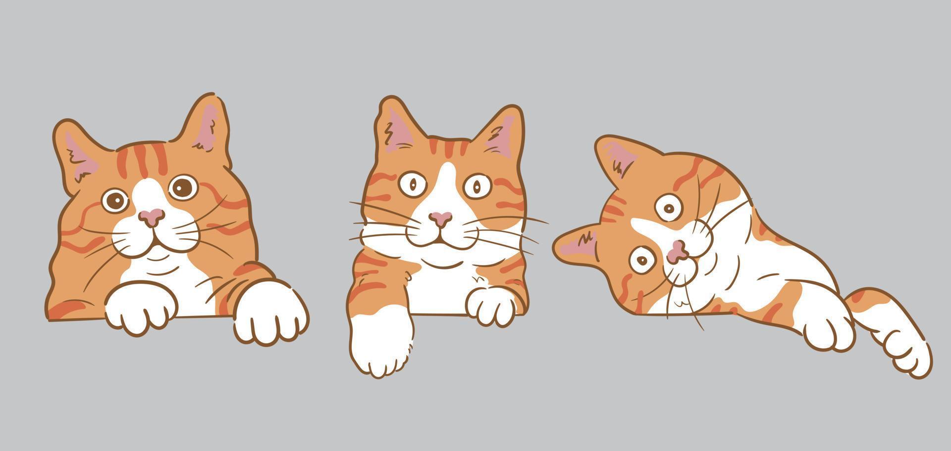 Funny curious peeking Orange cat vector