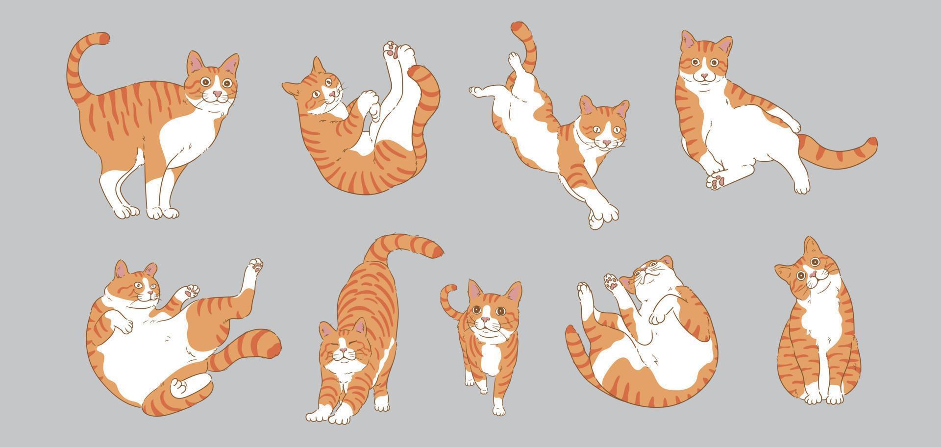 Cute Cartoon orange cat set vector