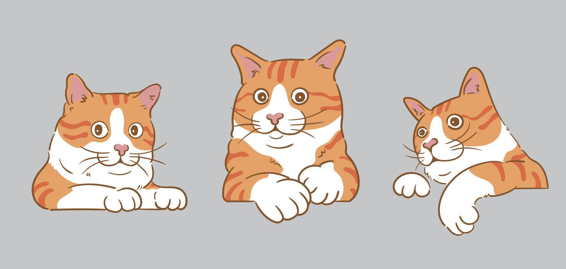 cartoon curious peeking Orange cats vector