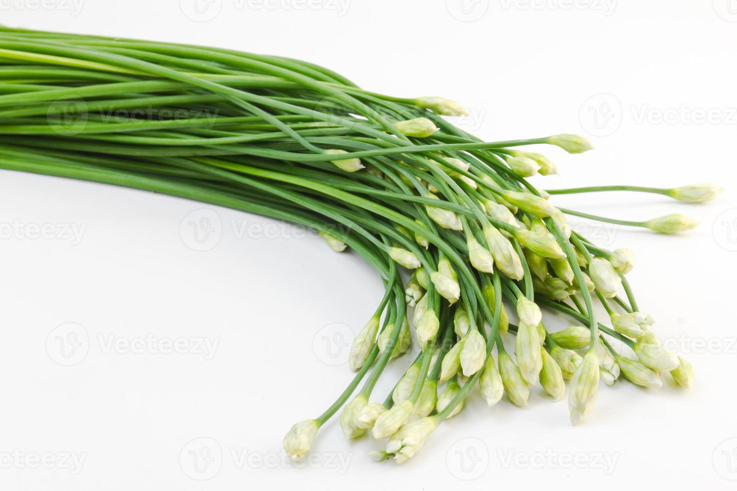 Chives flower on white photo