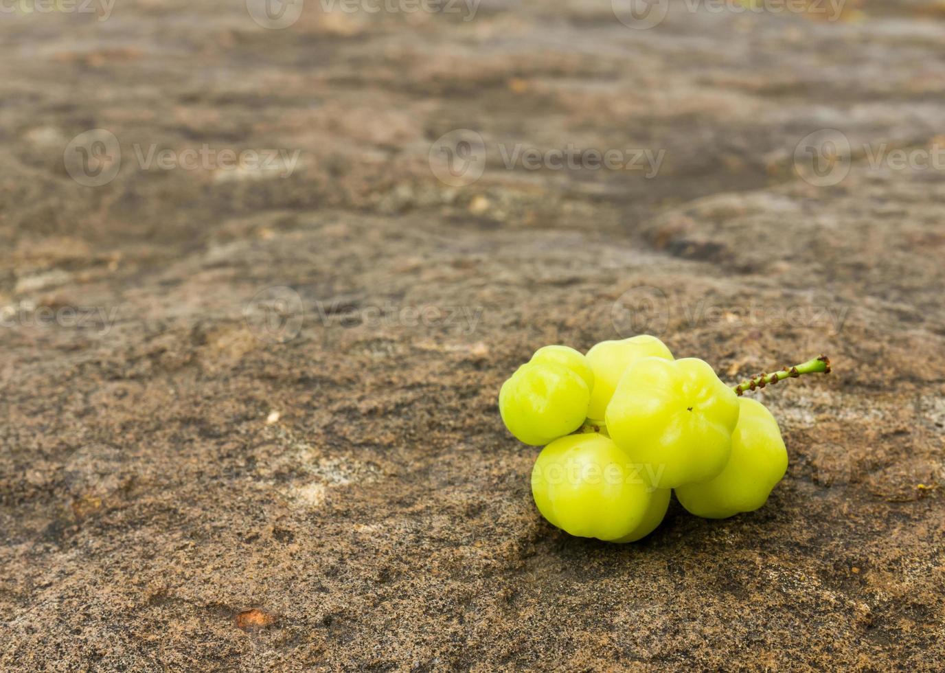 Star Gooseberry On stone photo