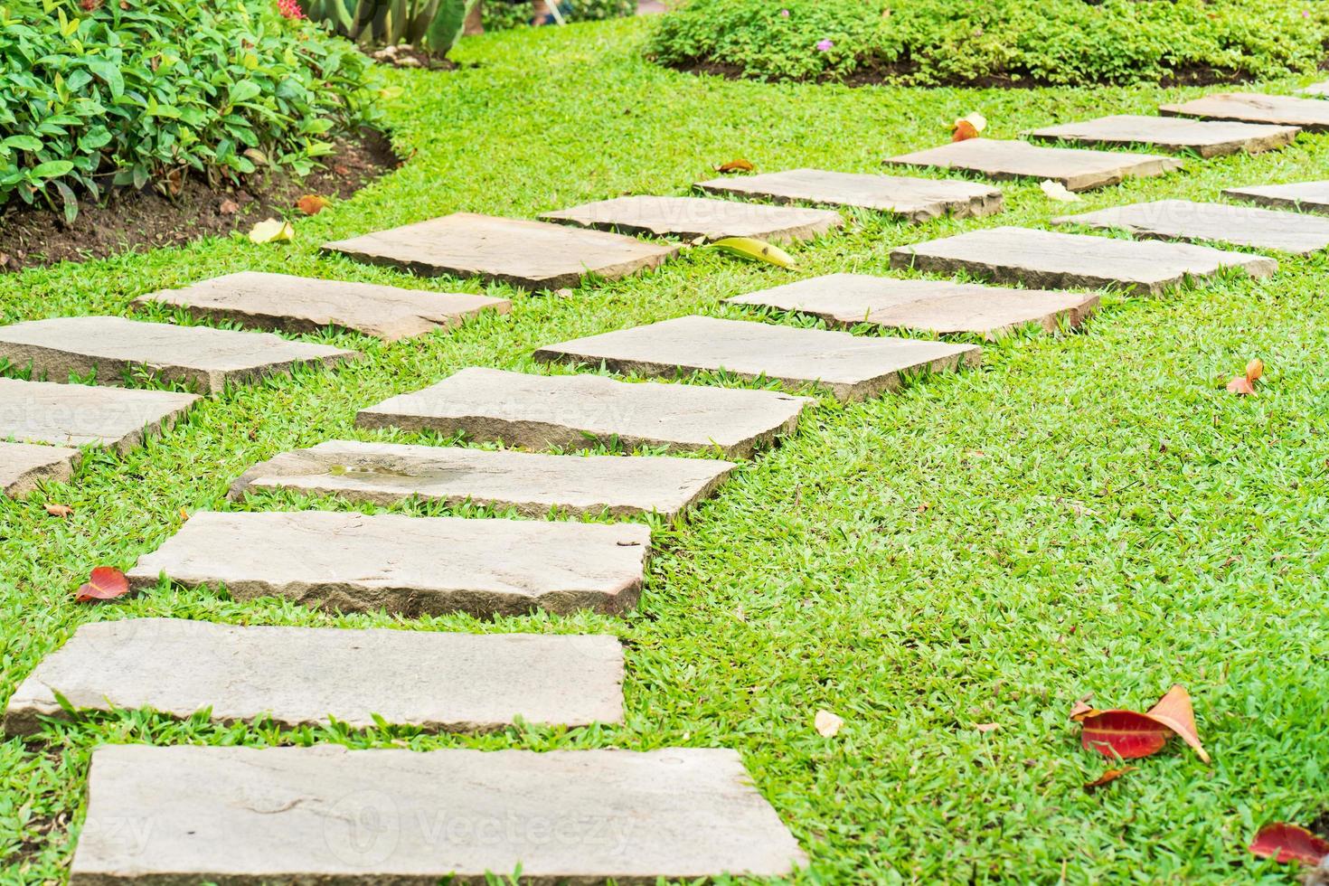 Stone path in park on green grass photo