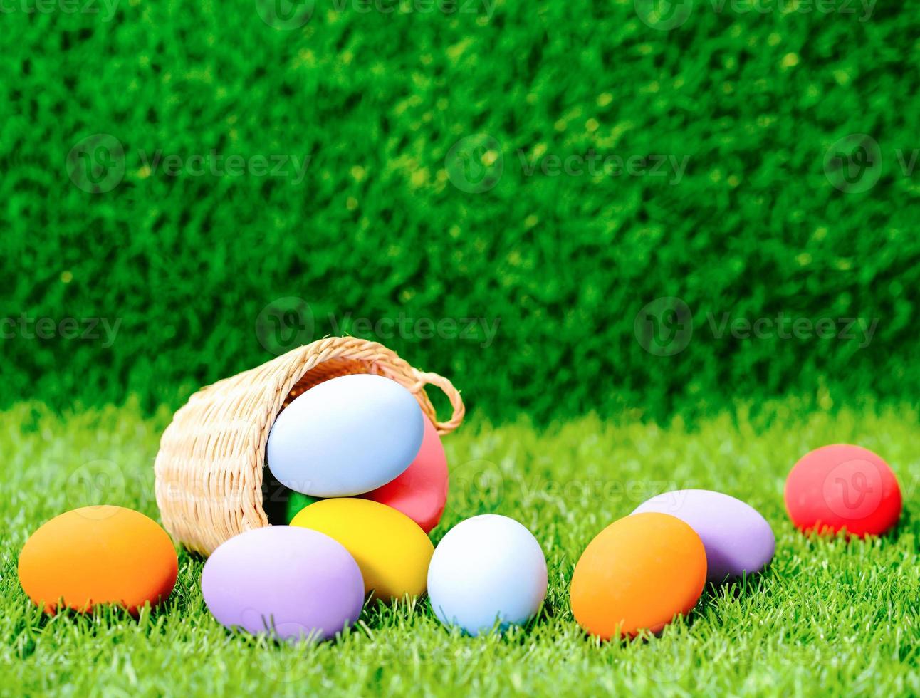 Easter eggs in the basket on green grass photo