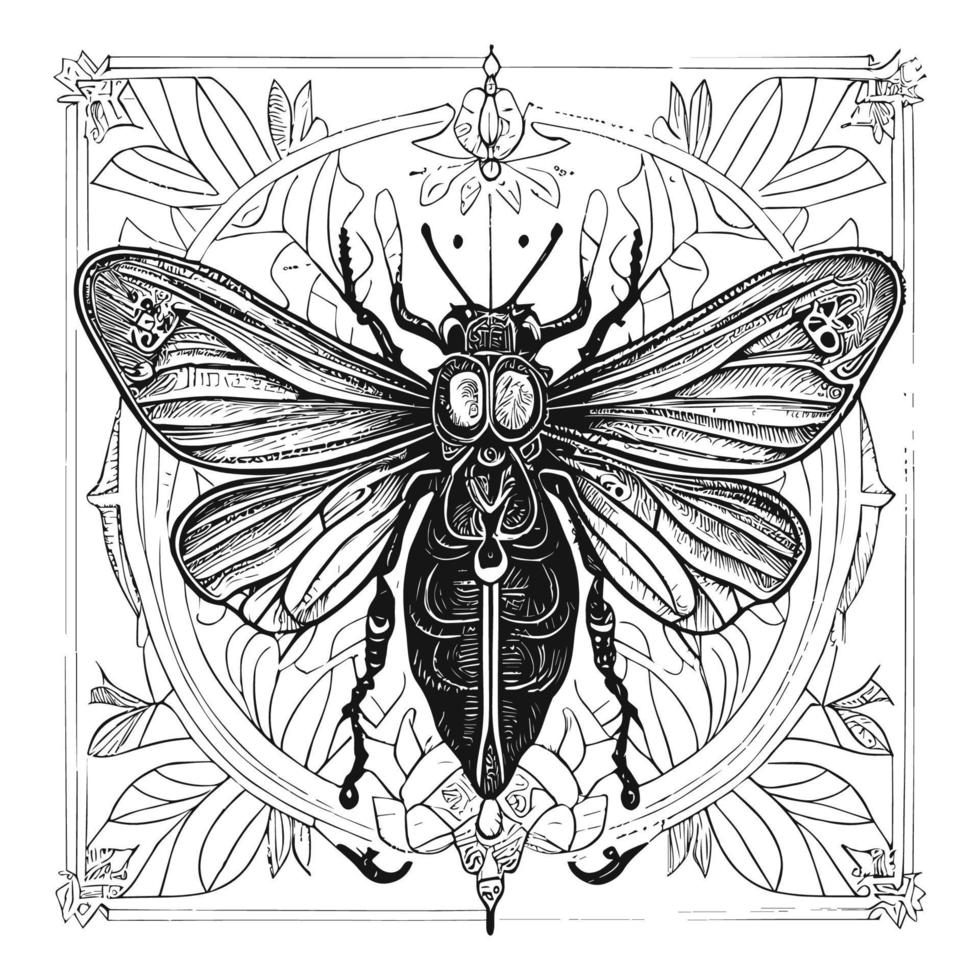 The death's head moth illustration in line art is a strikingly beautiful and intricate representation of this iconic species, capturing its unique features and patterns with precise lines and shading vector