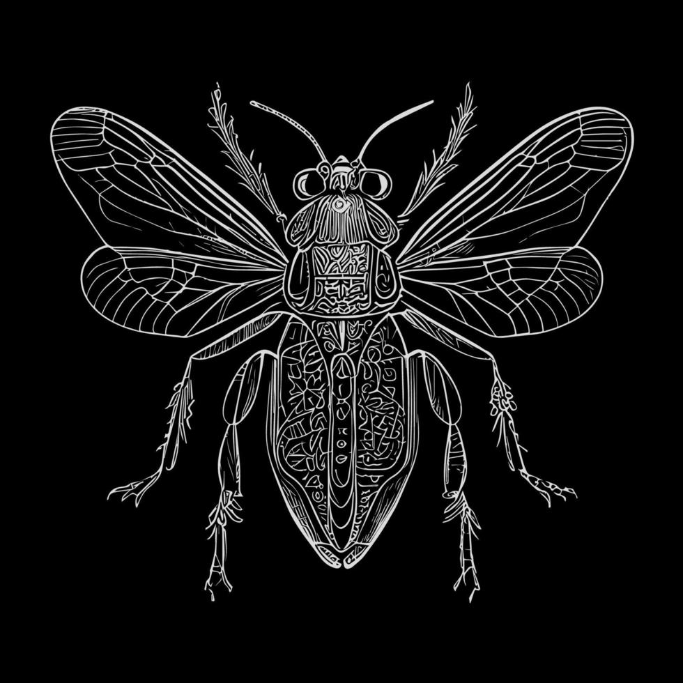 The death's head moth illustration in line art is a strikingly beautiful and intricate representation of this iconic species, capturing its unique features and patterns with precise lines and shading vector