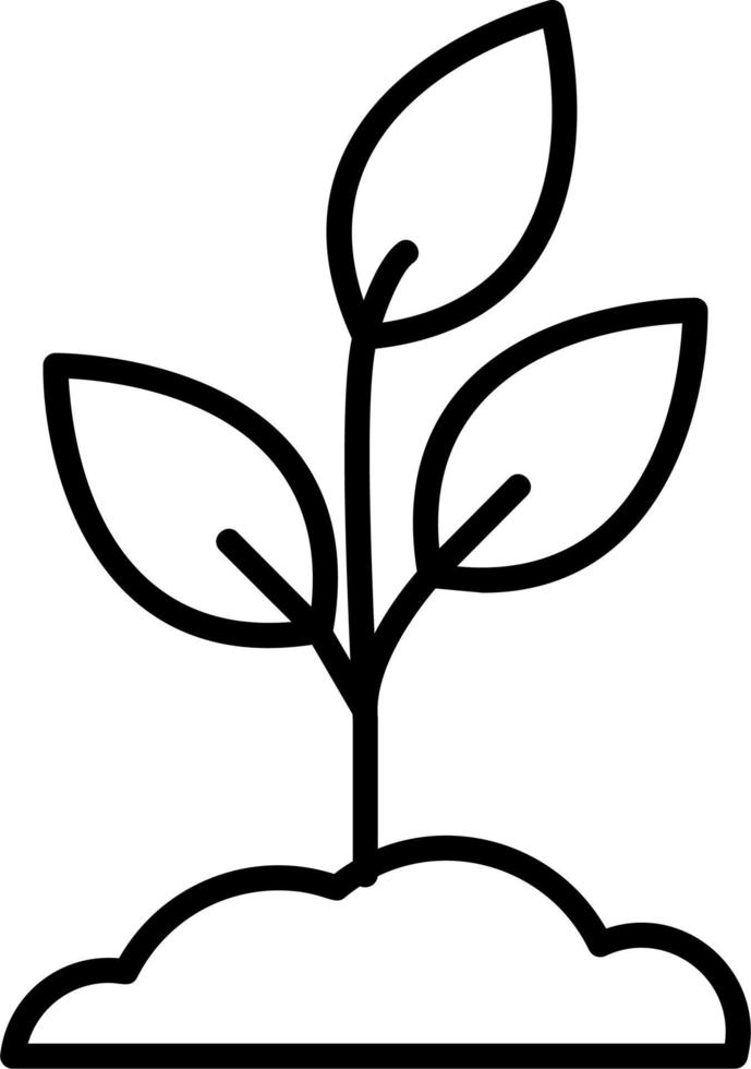 Plant Grows Vector Icon