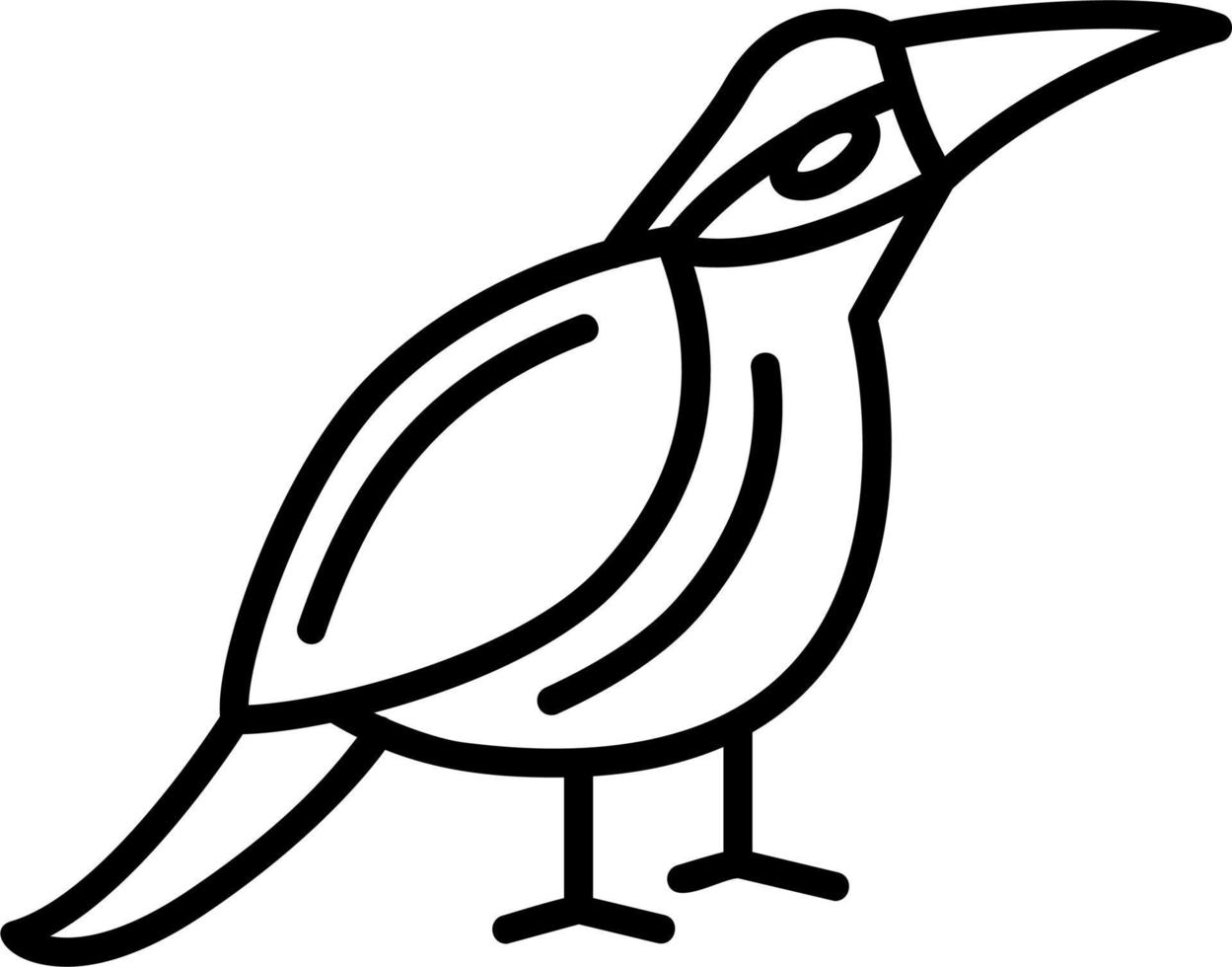 Kingfisher Vector Icon