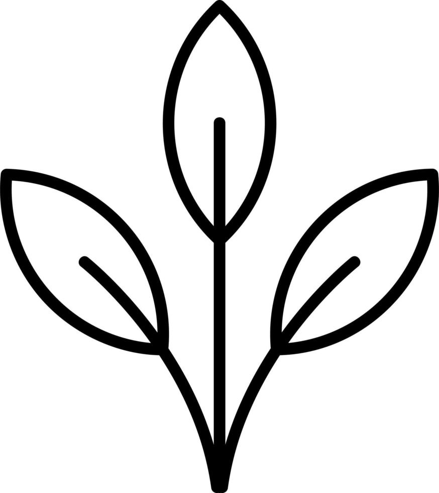 Leaf Vector Icon