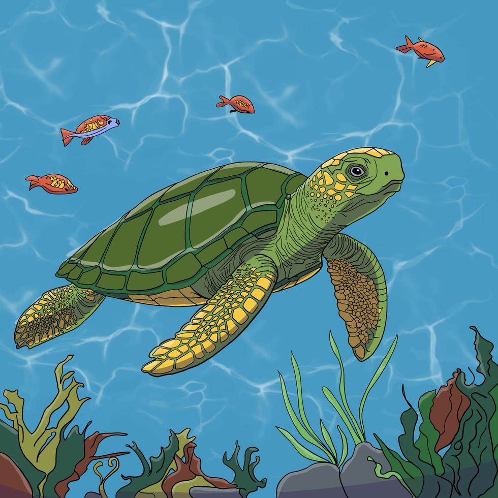 turtle in the sea vector