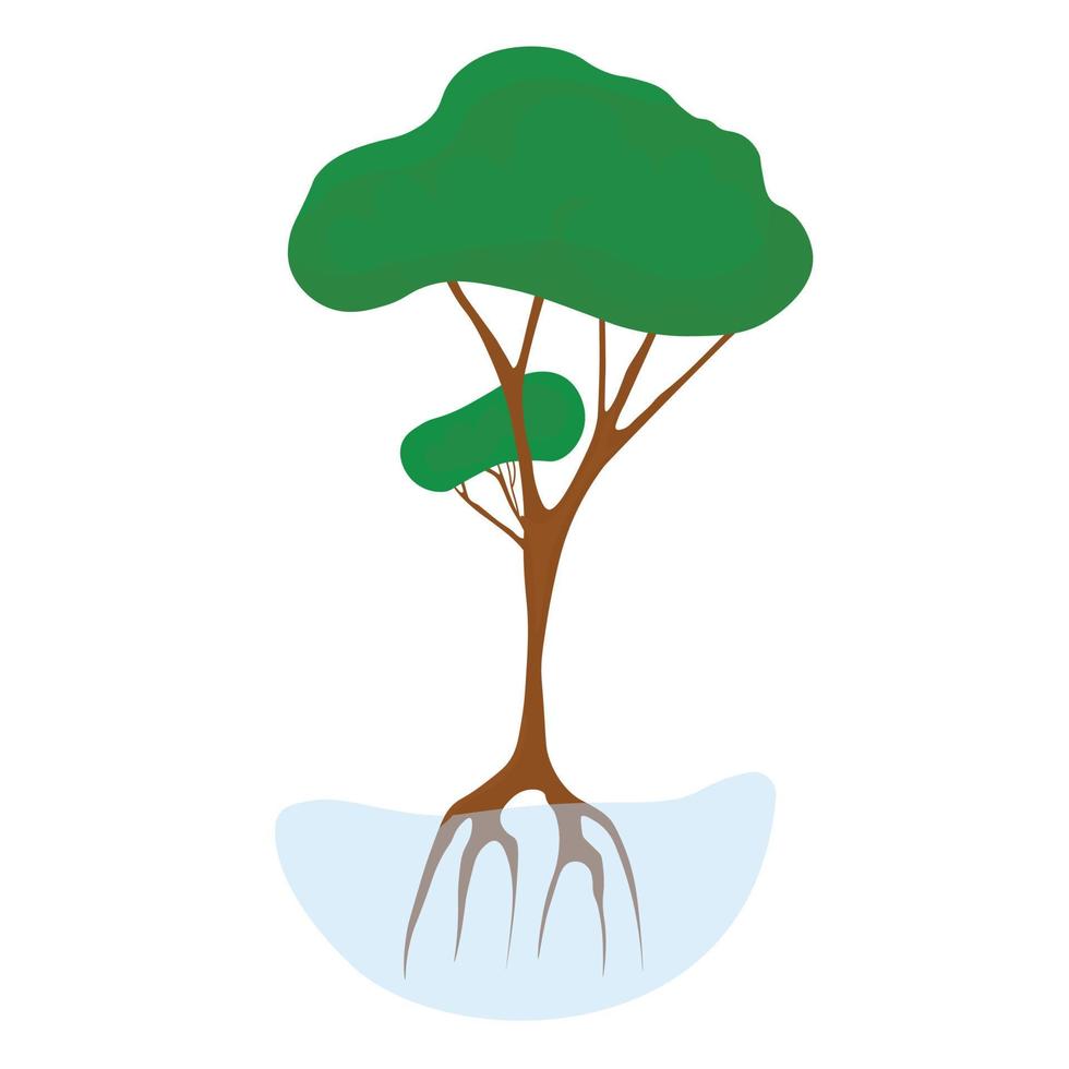 Mangroves vector illustration. A green tree or shrub. Ecosystem of coastal waters of the tropics. Isolated on a white background.