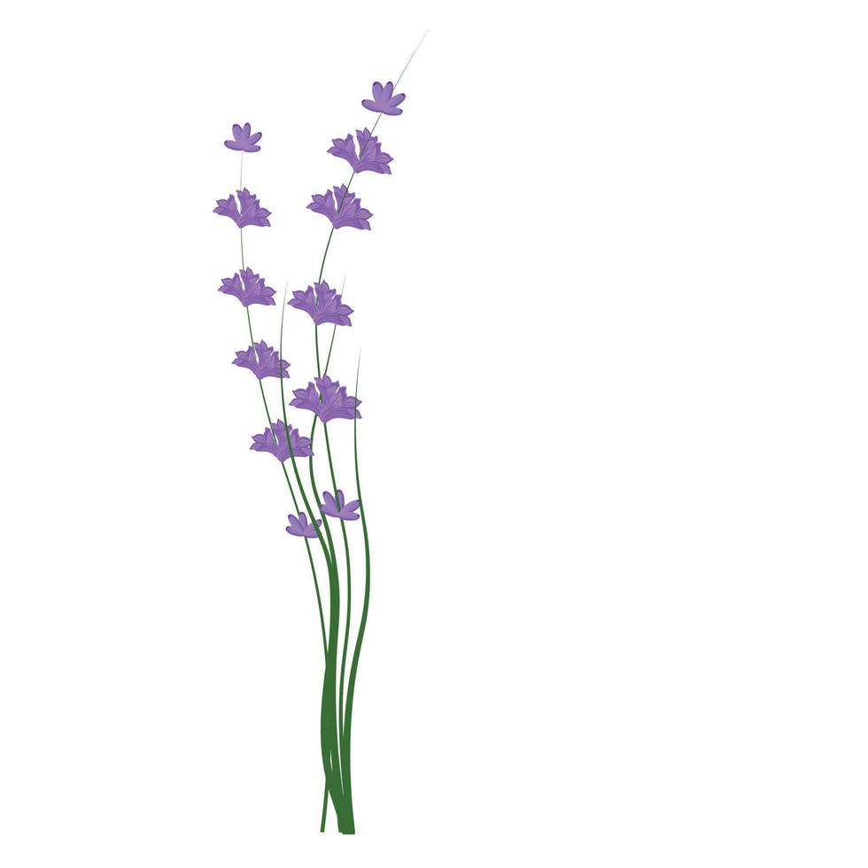 Lavender vector stock illustration. A bouquet of lilac flowers. Round frame wreath of purple buds. Lilac twigs.